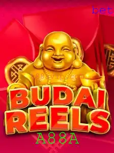 Descubra o Mundo Empolgante de BudaiReels